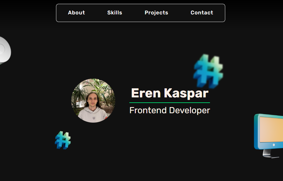 My portfolio project preview